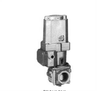 Johnson controls hydr.gasafsl.gh-5219-6411 2'' Johnson controls hydr.gasafsl.gh-5219-6411 2''