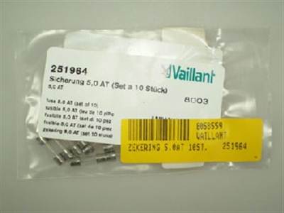 Vaillant zekering 5,0at 10st. 251964