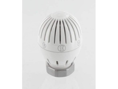 Giacomini therm.elem m30x1,5 vloeistofvulling r470hx001